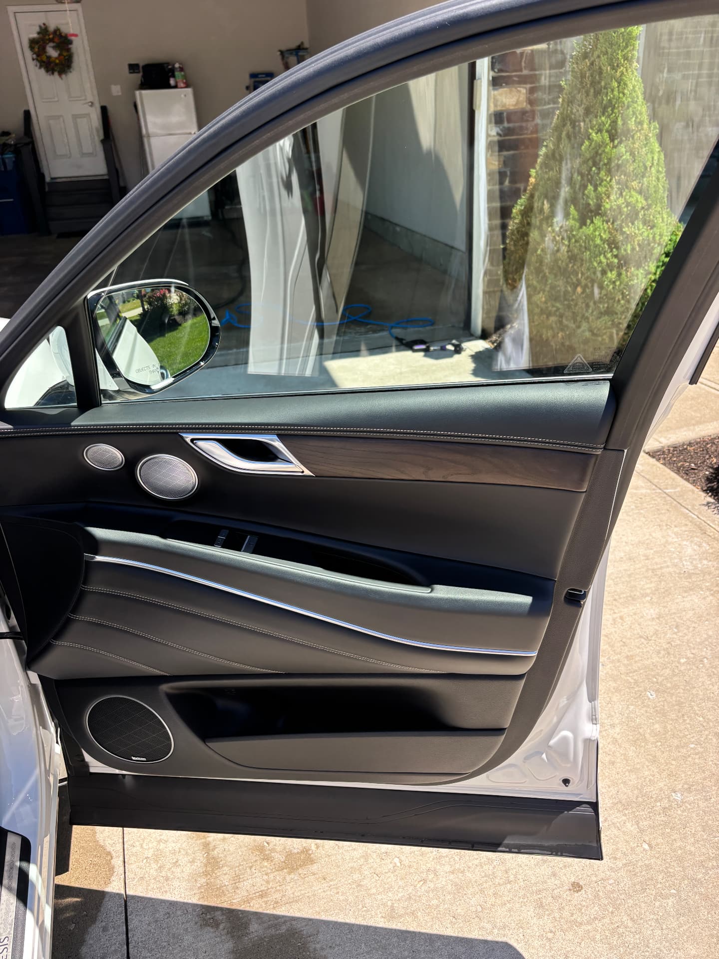 Door panel detail — Genesis